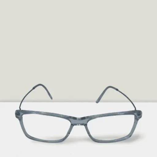 [8586] UNION PACIFIC RECETA UNISEX ACETATO Y METAL TRANSLUCIDO (hacer descuento 40%)